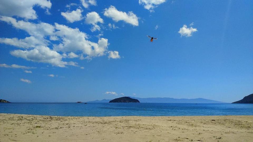 Sea And Joy Apartman Nea Iraklitsa Kültér fotó
